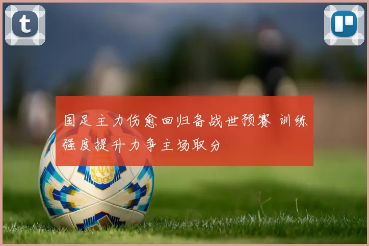 国足主力伤愈回归备战世预赛 训练强度提升力争主场取分