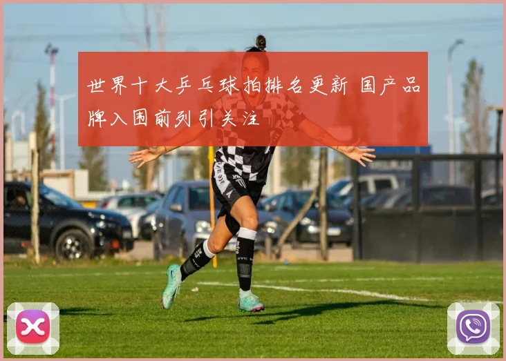 世界十大乒乓球拍排名更新 国产品牌入围前列引关注