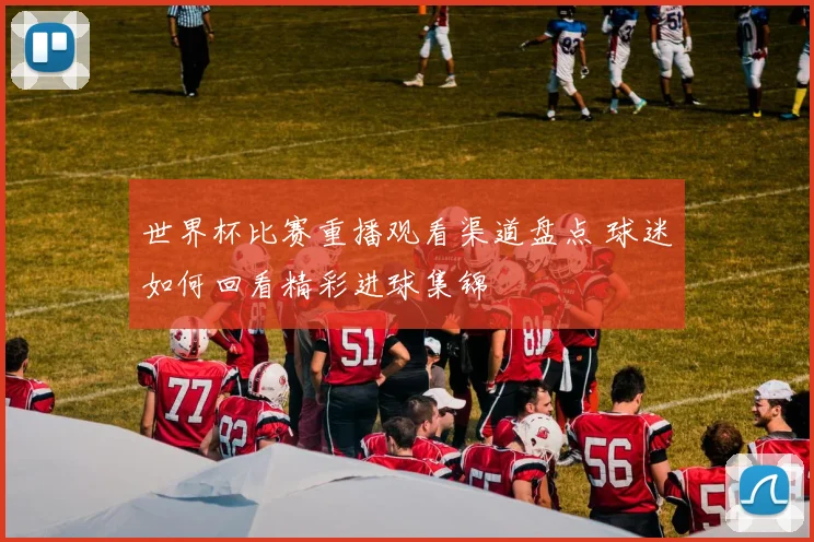 世界杯比赛重播观看渠道盘点 球迷如何回看精彩进球集锦